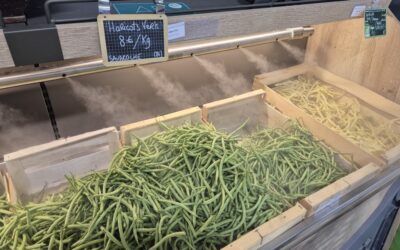 Nos haricots