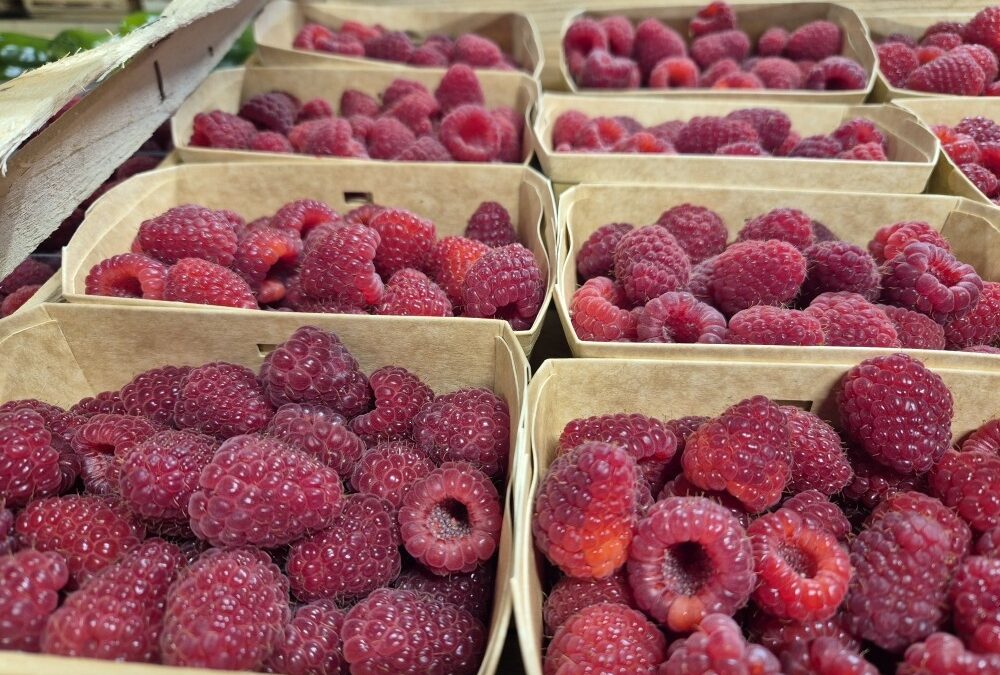 Framboises