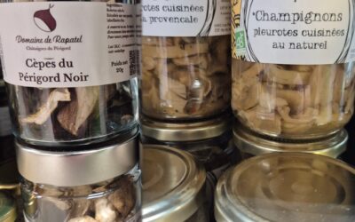 Champignons en conserves