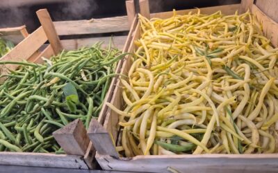Haricots vert ou beurre