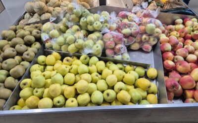 Les pommes de l’année sont arrivées !