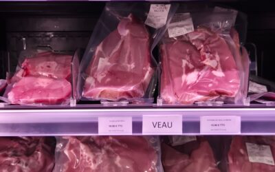 Le veau de lait