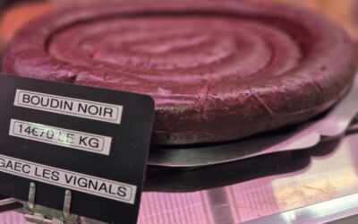 Le retour du Boudin noir !