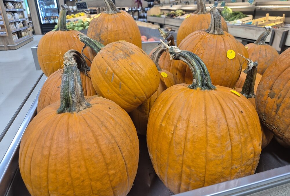 Halloween à la ferme