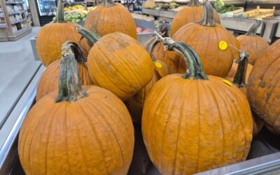 Halloween à la ferme