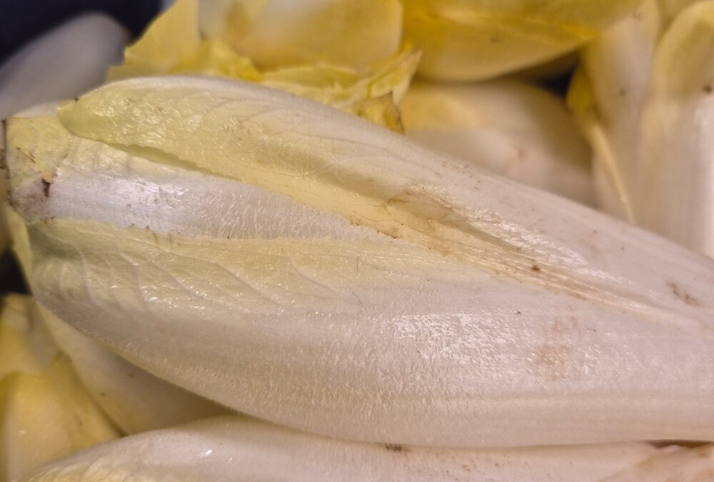 Les endives