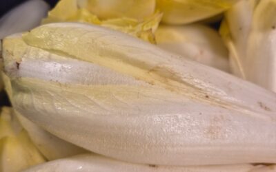 Les endives