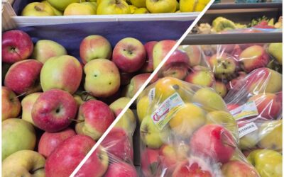 Les pommes bio