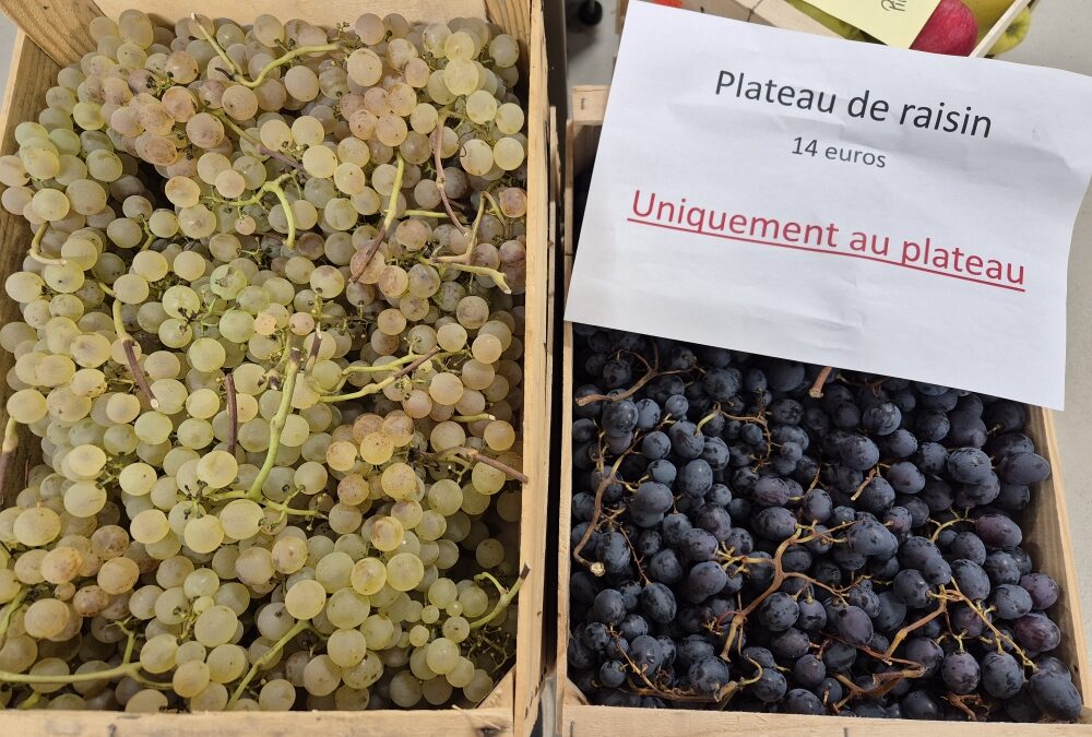Le raisin blanc et rouge