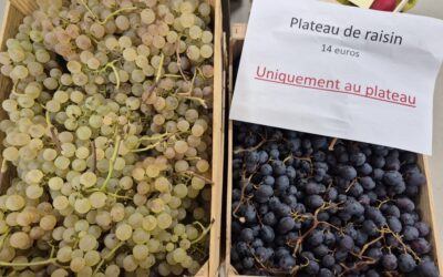 Le raisin blanc et rouge