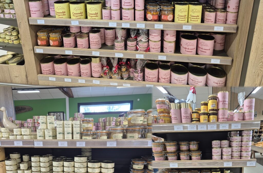 Le canard et l’oie