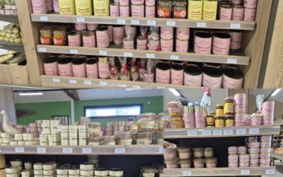 Le canard et l’oie