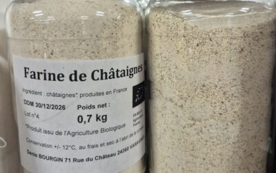 Farine de Châtaigne