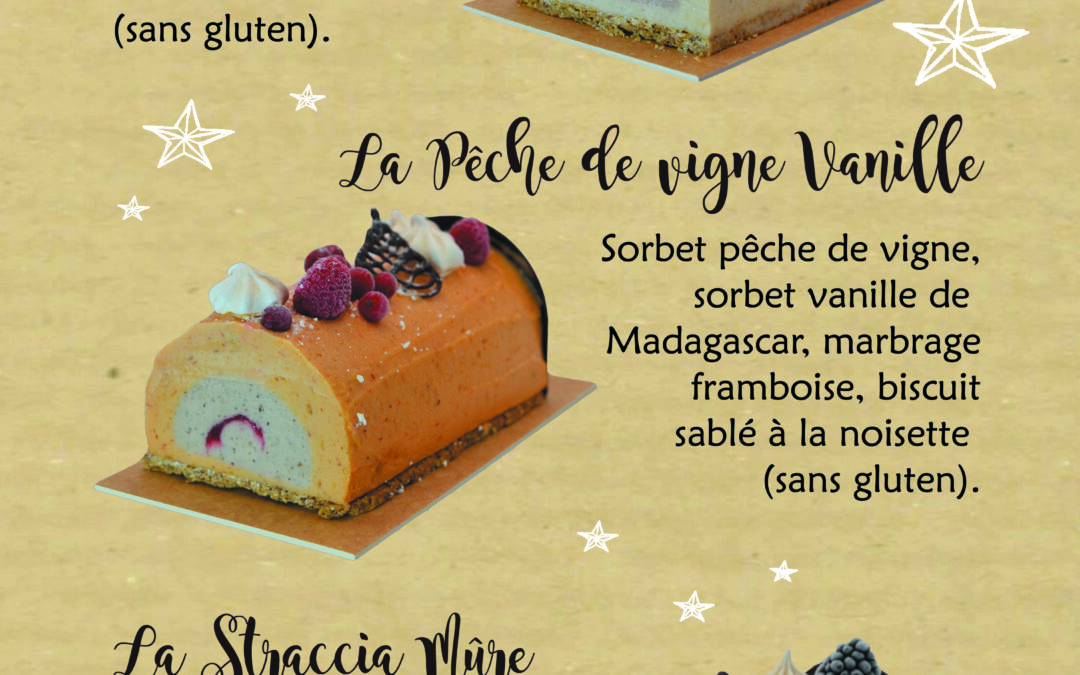 Les bûches glacées « sorbet »