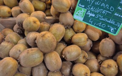 kiwis de Ste Nathalène