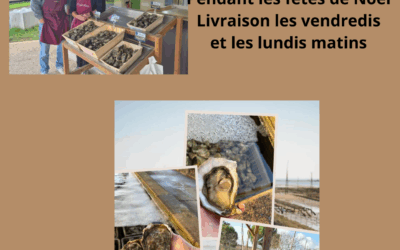 Huîtres d’Arcachon