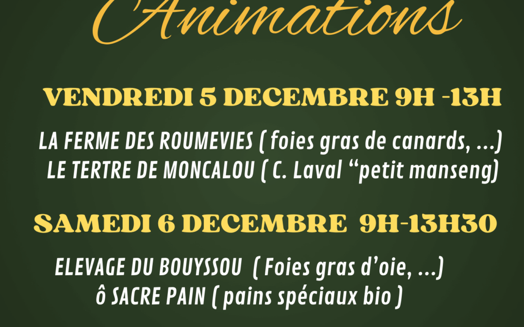 Animations de Noël