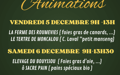 Animations de Noël