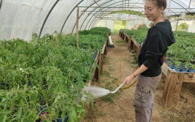 La P&rsquo;tite Maraichère