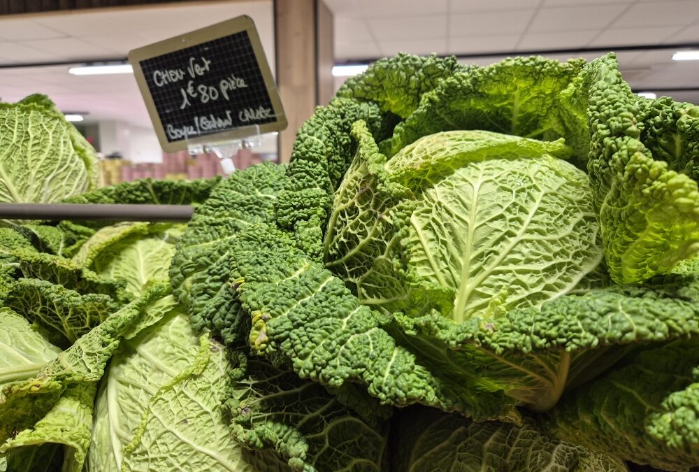 Choux Frisés