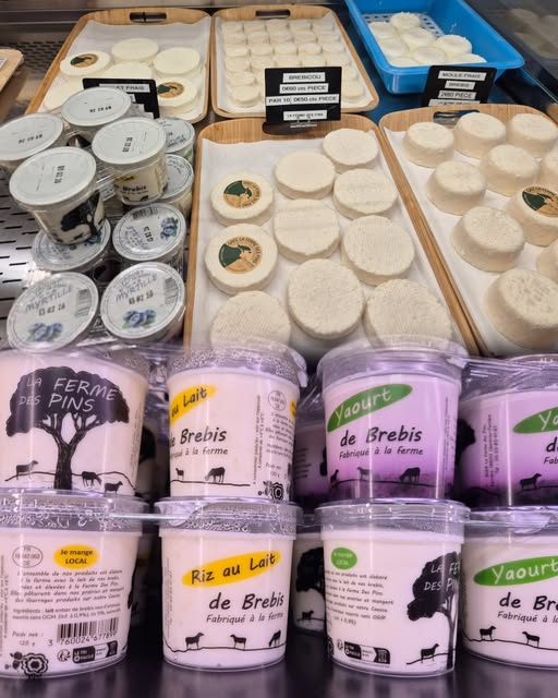 Le retour des brebis