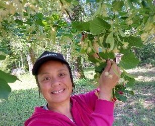 Les Bienfées des Simples