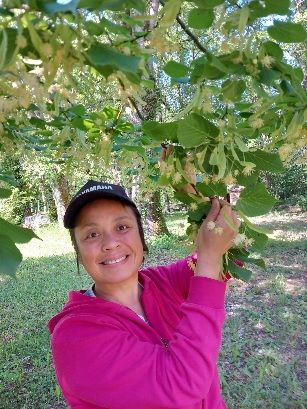 Les Bienfées des Simples