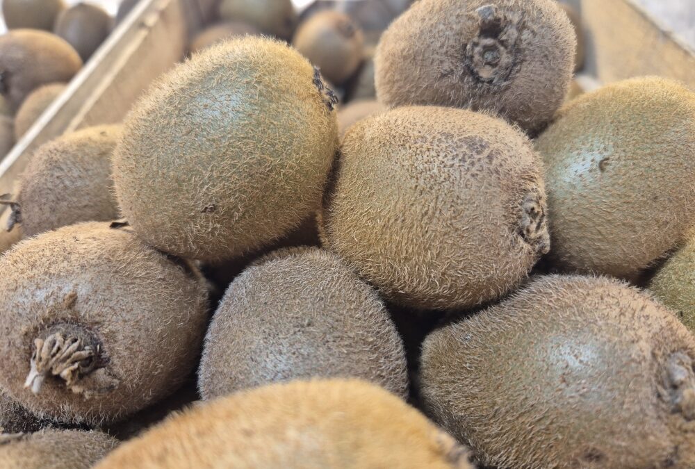 Kiwis Bio