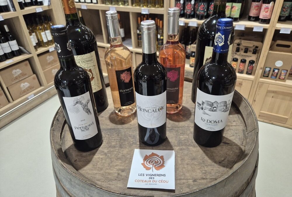 Cave des vin de Domme