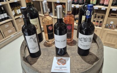 Cave des vin de Domme