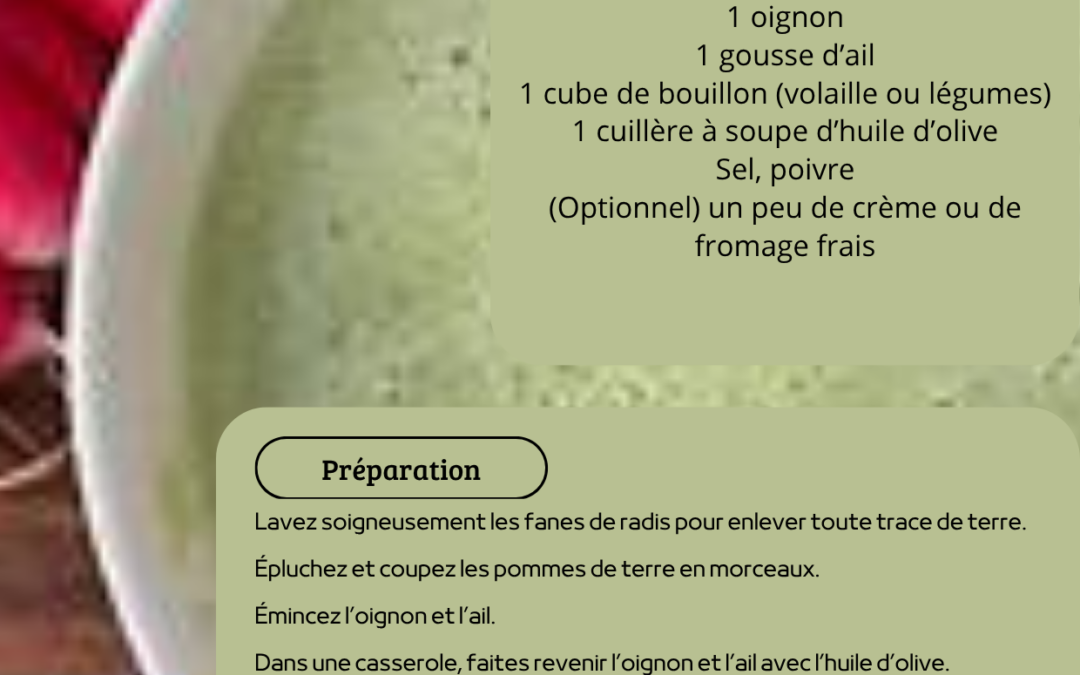 Recette: Soupe de fanes de radis
