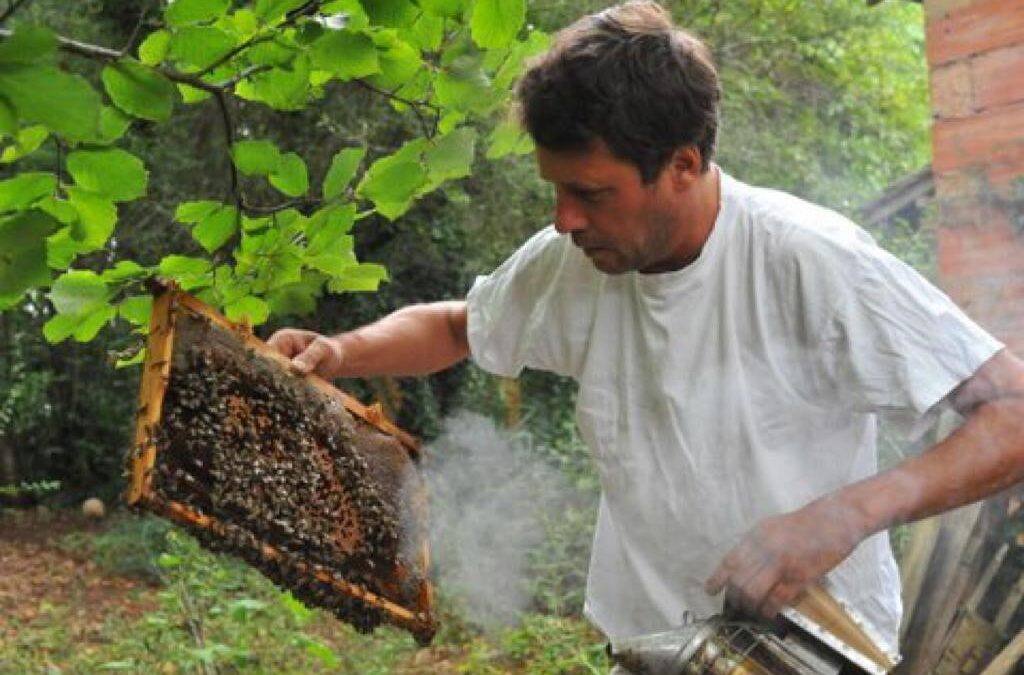 Lionel & Charlotte Petit