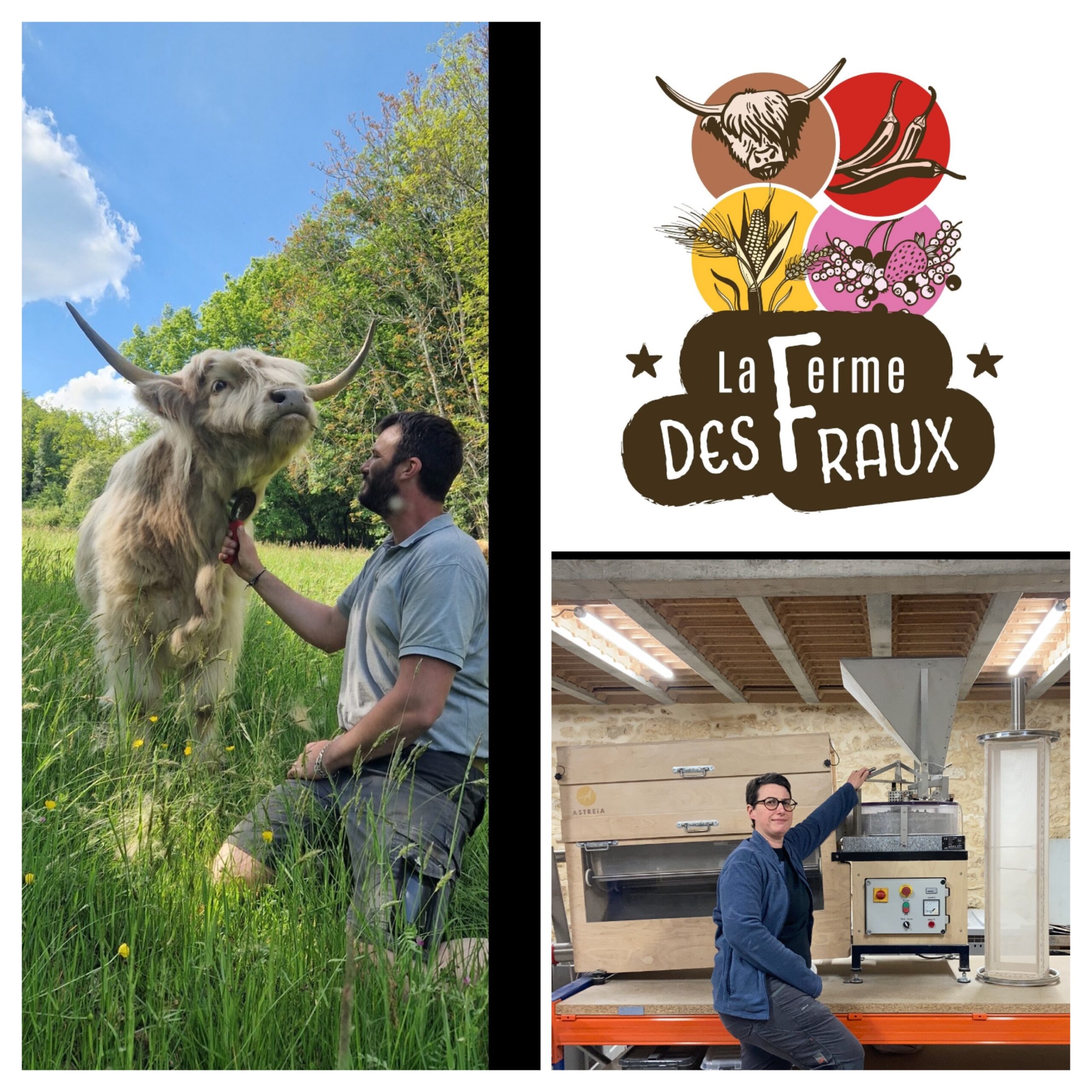 timestampe=1769087029