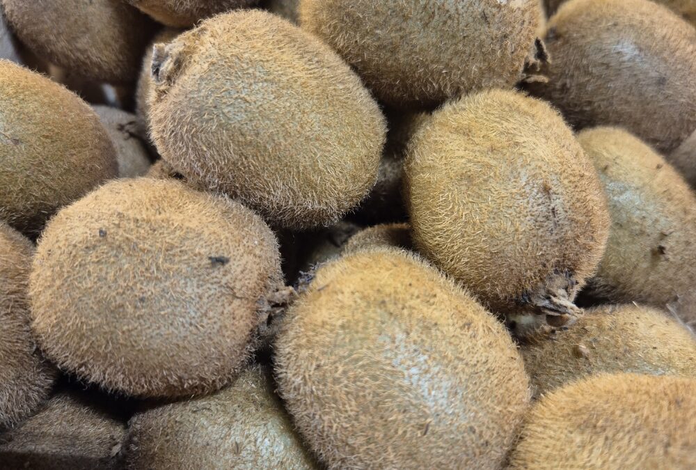 Kiwis Bio