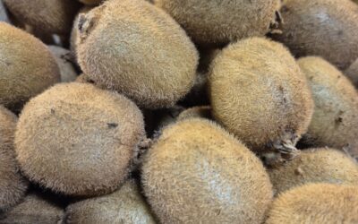 Kiwis Bio