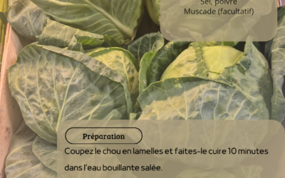 Recette: Chou Cabus