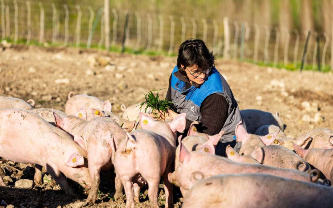 La Ferme des charmes