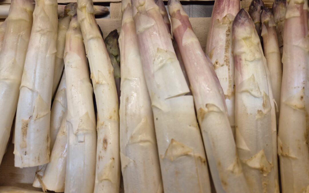 Les asperges blanches