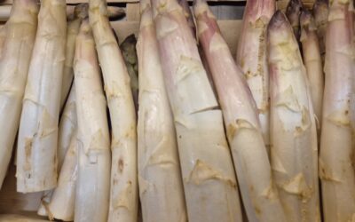 Les asperges blanches