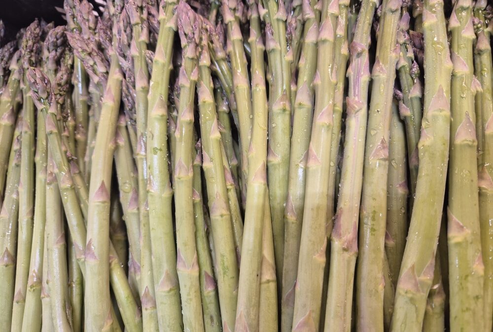 Les asperges vertes