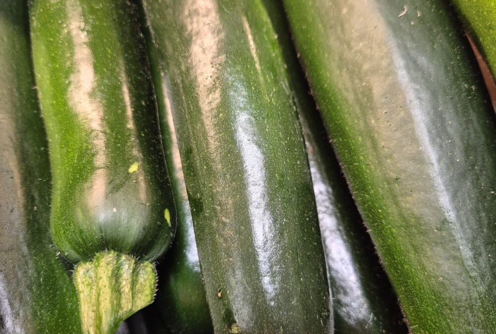 Les courgettes