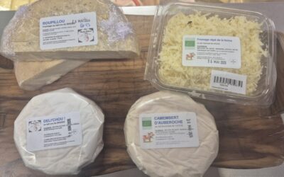 Nouveaux fromages