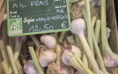 L&rsquo;ail de saison …