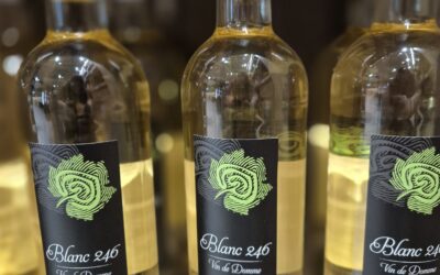 Vin blanc 246 du Périgord