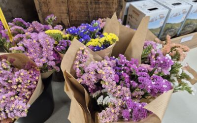 Les bouquets de fleurs