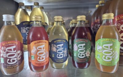 Kombucha