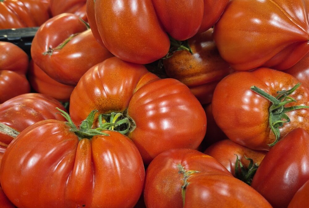 Tomates Anciennes