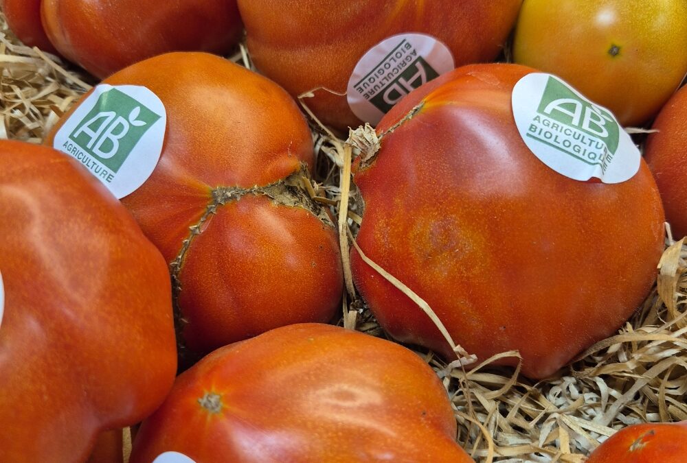 Tomates Bio