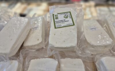 Feta de chèvre bio