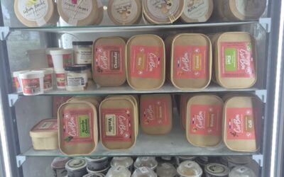 Nos sorbets et glaces